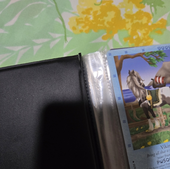 Bella Sara 75 Card Lot with Binder-Flaw - Picture 14 of 16